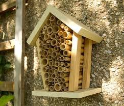 How to Create a Bee Condo and What not to do! - gardenlovin